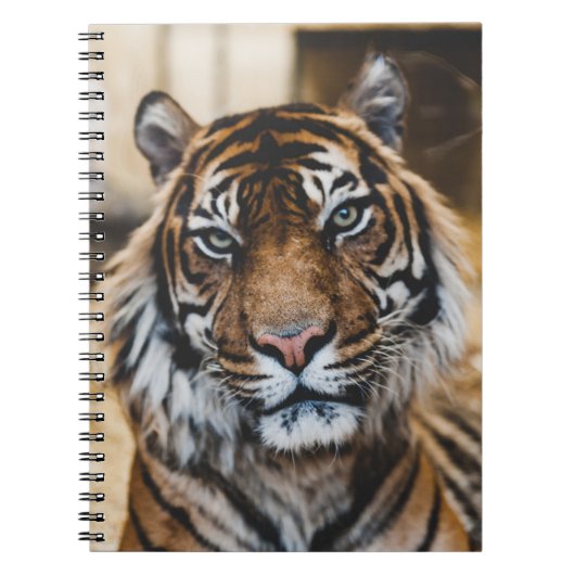 FOTO DES GESICHTS VON TIGER NOTIZBLOCK (Vorderseite)