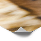 FOTO DES GESICHTS VON TIGER POSTER (Ecke)