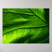 Foto des grünen Blattes Poster (Vorne)