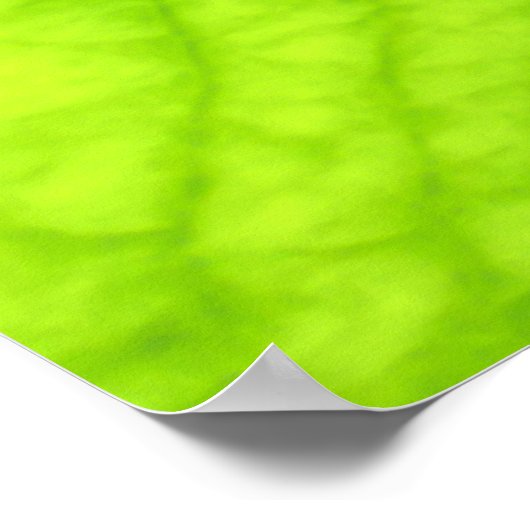 Foto des grünen Blattes Poster (Ecke)