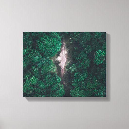 Foto des grünen Waldes Leinwanddruck (Vorderseite)