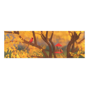 Foto des Herbstguardian Print