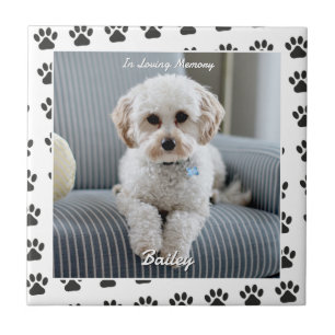 Foto des Hundes, Name, In liebevoller Erinnerung, Fliese