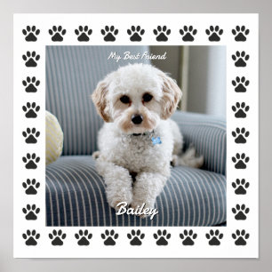 Foto des Hundes, Name, Mein bester Freund, Pfotena Poster