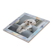 Foto des Hundes, Skriptname, in liebender Erinneru Fliese (Seite)