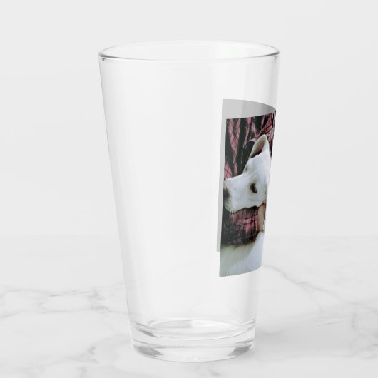 Foto des Hundes Vater Hugging Niedlich White Labra Glas (Rechts)