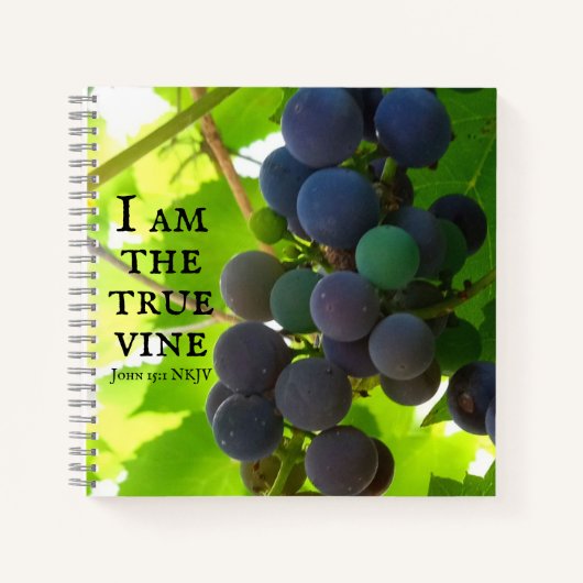 Foto des Lila Traubenschnitts von John Bible Verse Notizblock (Vorderseite)