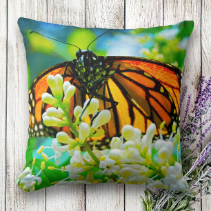 Foto des Monarchfalter-Orangenschmetterling, fett Kissen