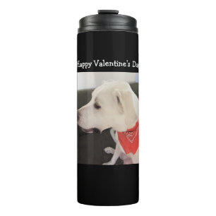Foto des Niedlichen Dog Profil Tragen Scarf Orange Thermosbecher