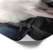 Foto des Niedlichen Hundes Bester Vater je Poster (Ecke)