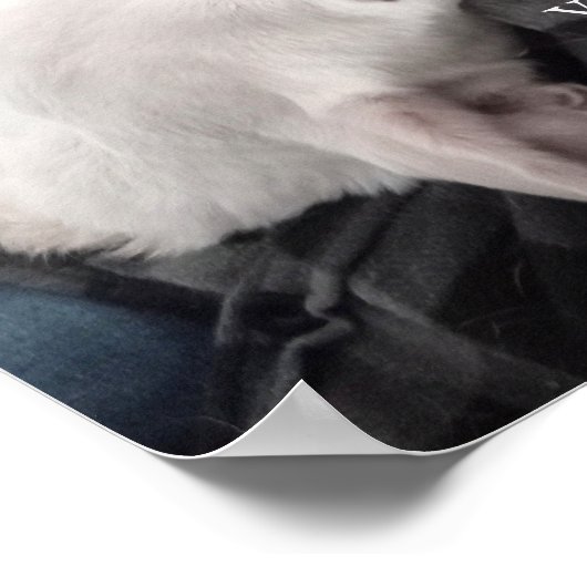 Foto des Niedlichen Hundes Bester Vater je Poster (Ecke)