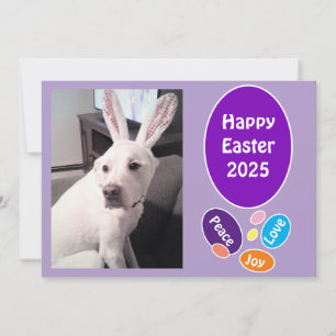 Foto des Niedlichen Hundes, der Ostereier trägt Feiertagskarte