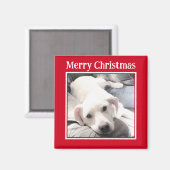 Foto des Niedlichen Hundes Frohe Weihnachten Rot Magnet (Vorderseite/Rückseite)
