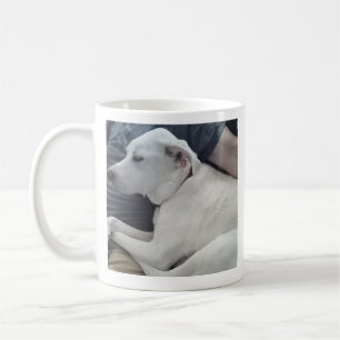 Foto des Niedlichen Hundes mit bester Friend Vater Kaffeetasse