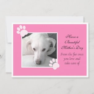 Foto des Niedlichen Hundes Rosa Muttertagsrahmen Feiertagskarte
