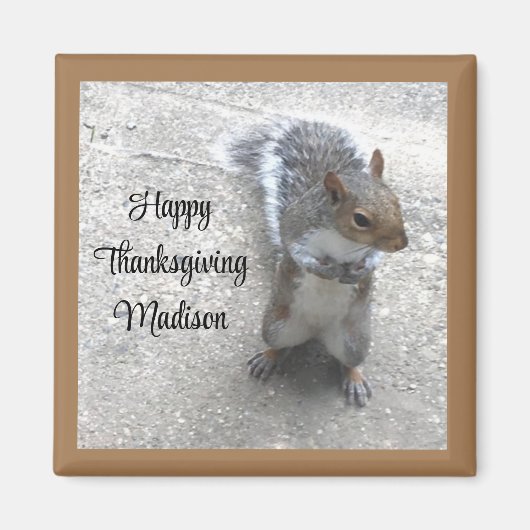 Foto des Niedlichen kleinen Eichhörnchens mit Fluf Magnet (Vorne)