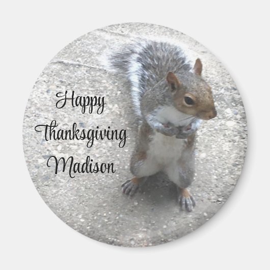 Foto des Niedlichen kleinen Eichhörnchens mit Fluf Magnet (Vorne)