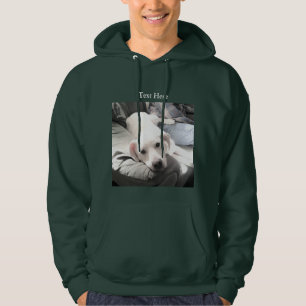 Foto des Niedlichen Labrador Retriever Mix Dog Mit Hoodie