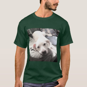 Foto des Niedlichen Labrador Retriever Mix Dog Mit T-Shirt