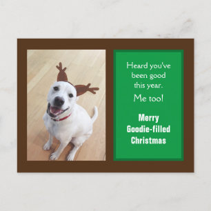 Foto des Niedlichen lächelnden weißen Rentierhunde Feiertagspostkarte