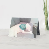 Foto des Niedlichen Lazy Dog Funny St. Patrick's D Karte (Rückseite)