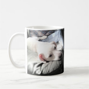 Foto des Niedlichen Süße Hundes mit Vater Kaffeetasse