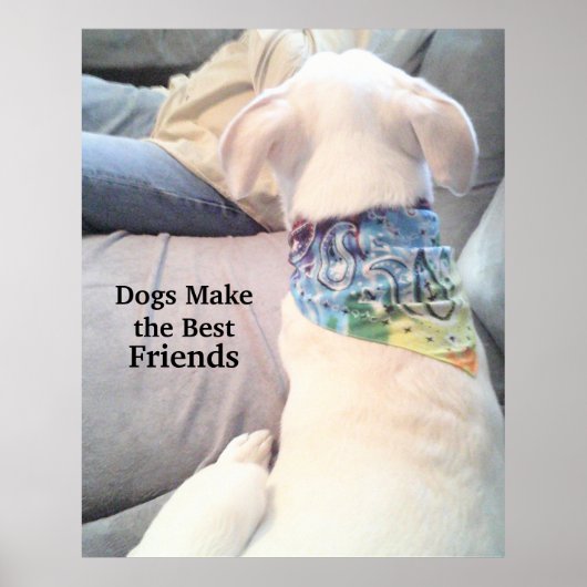 Foto des Niedlichen Vaters des Welpenhundes Poster (Vorne)