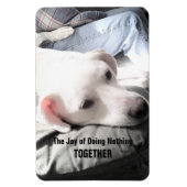 Foto des Niedlichen Weißen Hundes, der mit dem Vat Magnet (Vertikal)