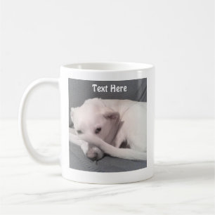 Foto des Niedlichen Weißen Hundes, der sich hinter Kaffeetasse