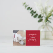 Foto des Niedlichen weißen Hundes mit Rotkehlchen Visitenkarte (Stehend Vorderseite)