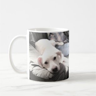 Foto des Niedlichen Weißen Hundes mit Vater-Kaffe Kaffeetasse