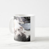 Foto des Niedlichen Weißen Hundes mit Vater-Kaffee Kaffeetasse (Vorderseite Links)