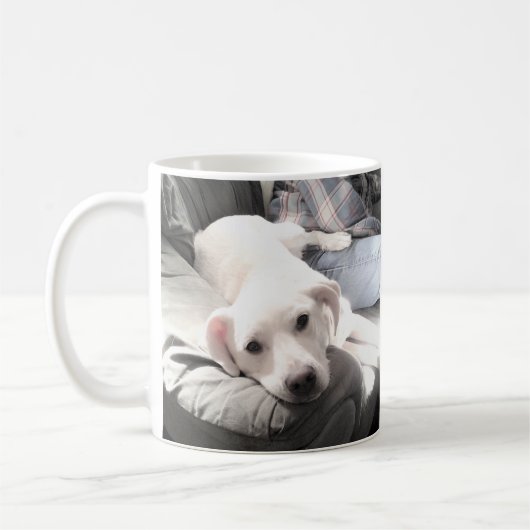 Foto des Niedlichen Weißen Hundes mit Vater-Kaffee Kaffeetasse (Links)