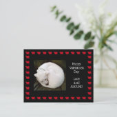 Foto des Niedlichen Weißen Hundes rollte wie eine  Postkarte (Stehend Vorderseite)