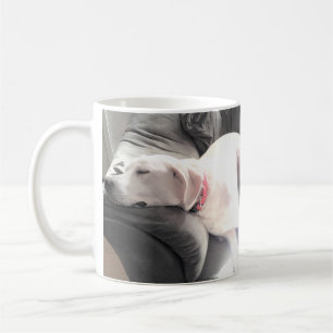 Foto des Niedlichen Weißen Hundes Schlafen auf dem Kaffeetasse