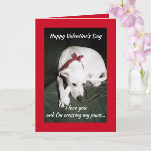 Foto des Niedlichen Weißen Hundes Valentinstag Fun Karte