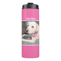 Foto des Niedlichen weißen Labradors Mix Dog Pink