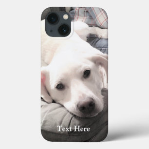 Foto des Niedlichen weißen Labradors Retriever Mix Case-Mate iPhone Hülle