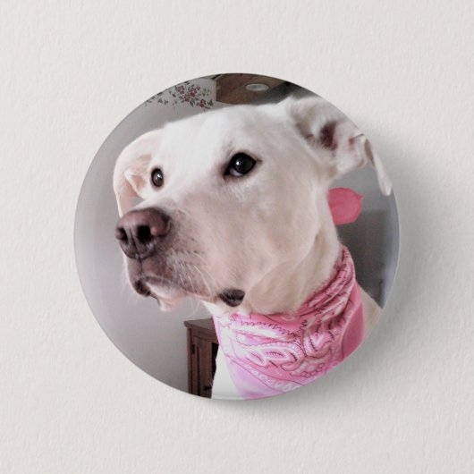 Foto des Niedlichen weißen Welpenhundes mit rosafa Button (Vorderseite)