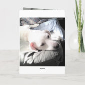 Foto des Niedlichen weißen Welpenhundes mit Vater Karte (Rückseite)