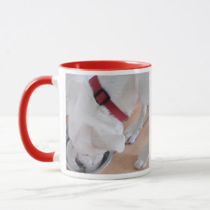 Foto des Niedlichen Weißhundes Trinkwasser Rot Tasse