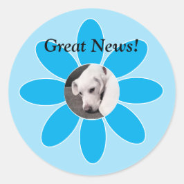 Foto des Niedlichen Welpen-Hundes in blauer Mum-Ra Runder Aufkleber