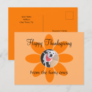 Foto des Niedlichen Welpenhundes in Orange Blume E Feiertagspostkarte