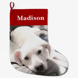 Foto des Niedlichen Welpenhundes Rot Großer Weihnachtsstrumpf