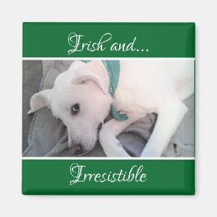 Foto des Niedlichen Welpenhundes St. Patrick's Day Magnet