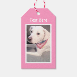 Foto des Niedlichen White Labrador Mix Dog Pink Gi Geschenkanhänger