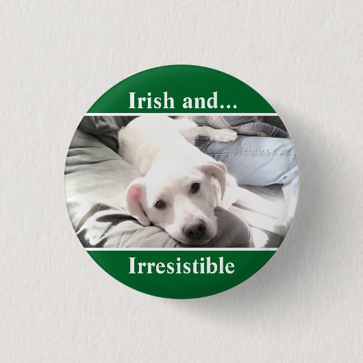 Foto des Niedlichen White Labrador Mix St. Patrick Button (Vorderseite)