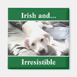 Foto des Niedlichen White Labrador Mix St. Patrick Magnet