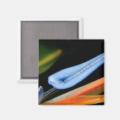 Foto des Paradieses Magnet (Vorderseite/Rückseite)