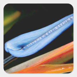 Foto des Paradieses Quadratischer Aufkleber